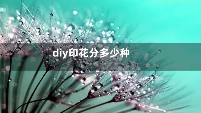 diy印花分多少种