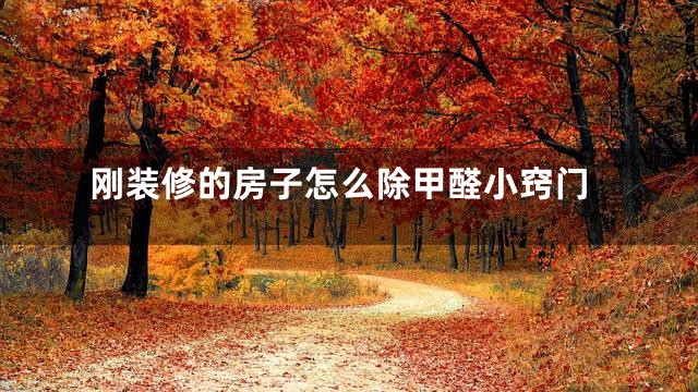 刚装修的房子怎么除甲醛小窍门