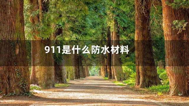 911是什么防水材料
