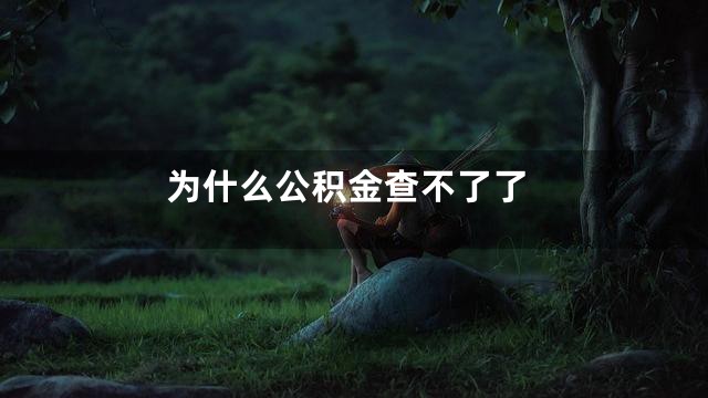 为什么公积金查不了了