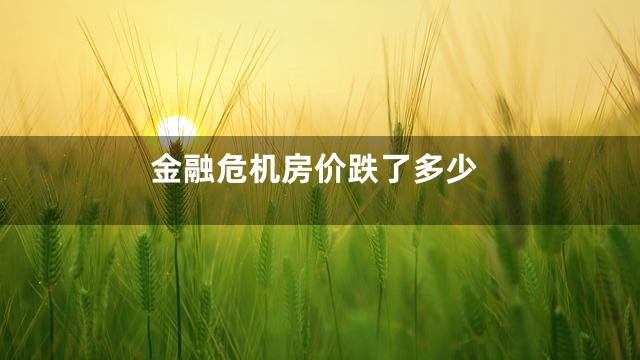 金融危机房价跌了多少