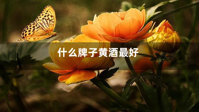 什么牌子黄酒最好