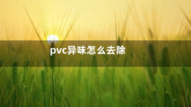 pvc异味怎么去除