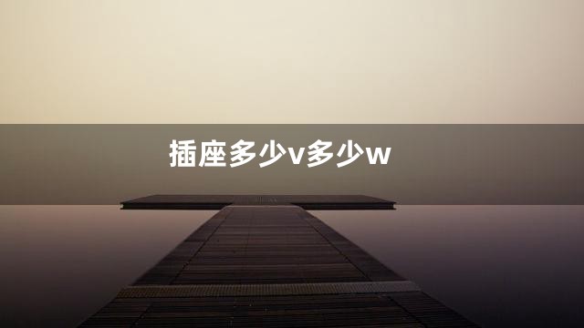 插座多少v多少w