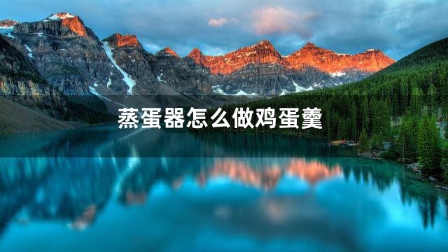 蒸蛋器怎么做鸡蛋羹