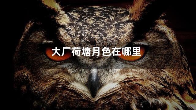 大厂荷塘月色在哪里