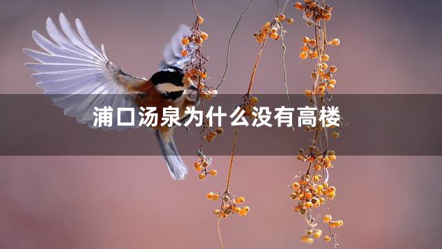 浦口汤泉为什么没有高楼