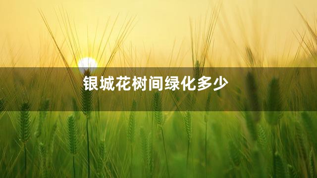银城花树间绿化多少