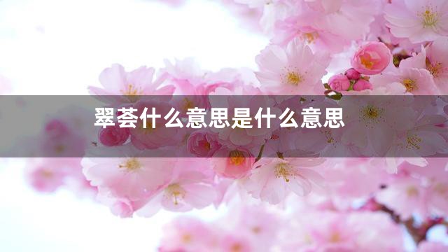 翠荟什么意思是什么意思