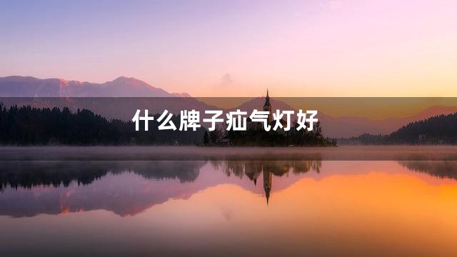 什么牌子疝气灯好