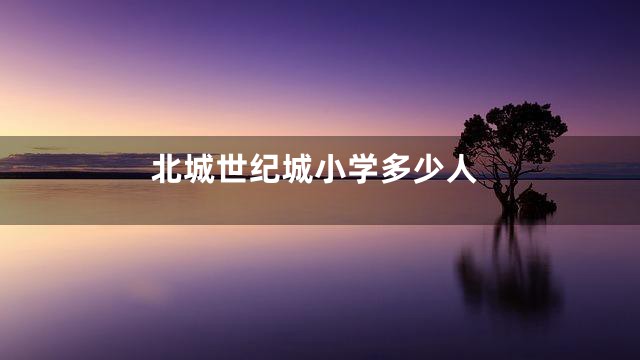 北城世纪城小学多少人