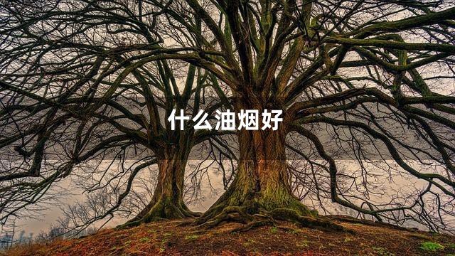 什么油烟好