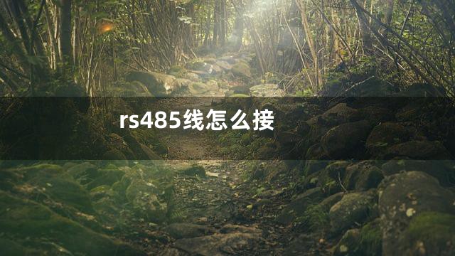 rs485线怎么接