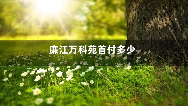 廉江万科苑首付多少