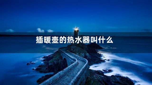 插暖壶的热水器叫什么
