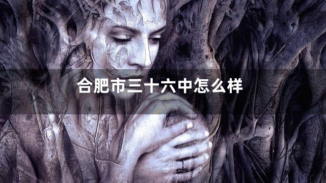 合肥市三十六中怎么样