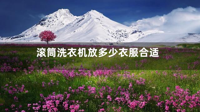 滚筒洗衣机放多少衣服合适