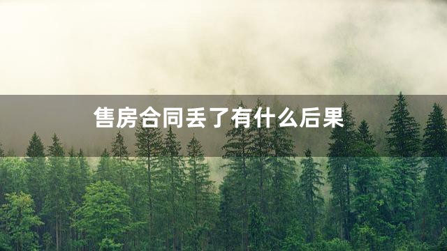 售房合同丢了有什么后果