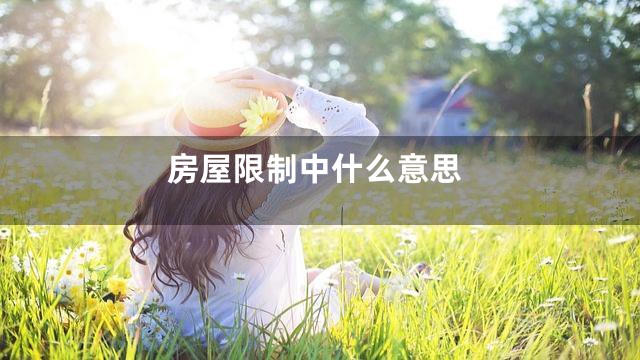 房屋限制中什么意思