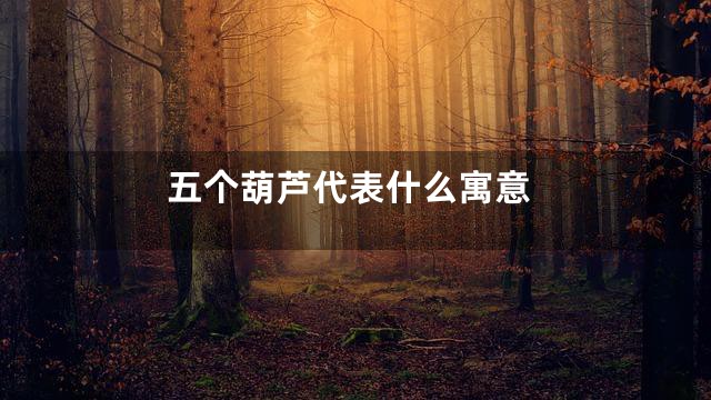 五个葫芦代表什么寓意