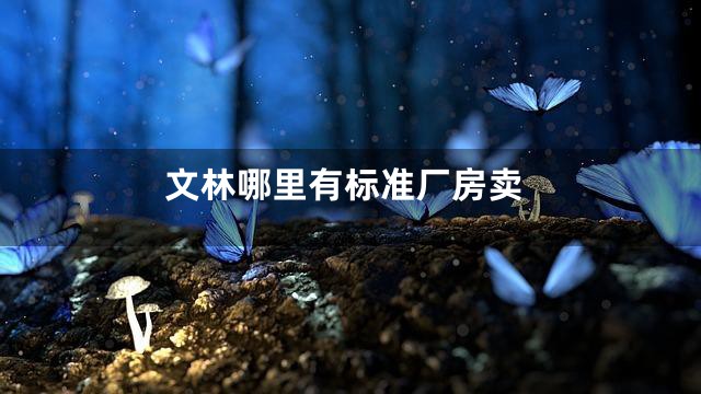 文林哪里有标准厂房卖