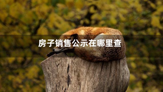 房子销售公示在哪里查