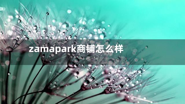 zamapark商铺怎么样