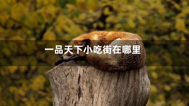 一品天下小吃街在哪里