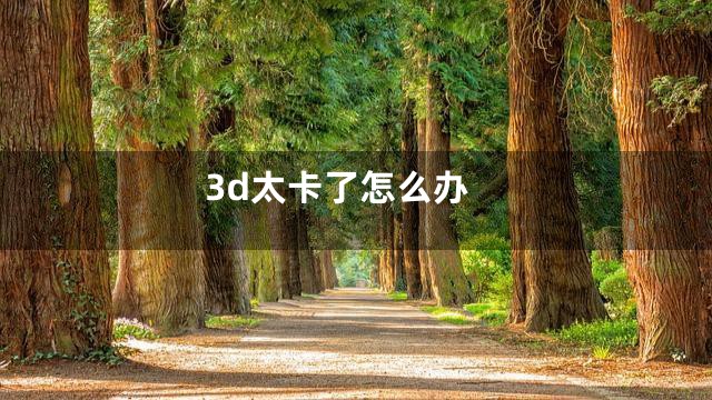 3d太卡了怎么办