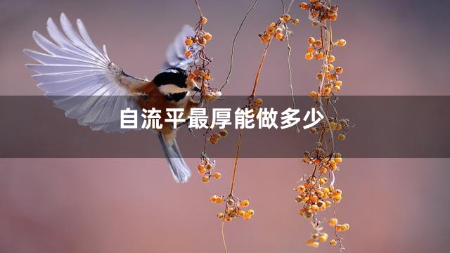 自流平最厚能做多少