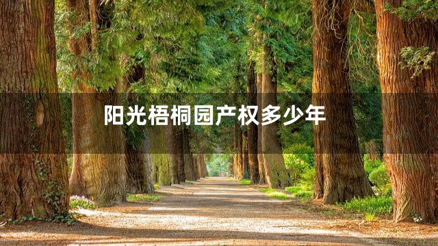 阳光梧桐园产权多少年