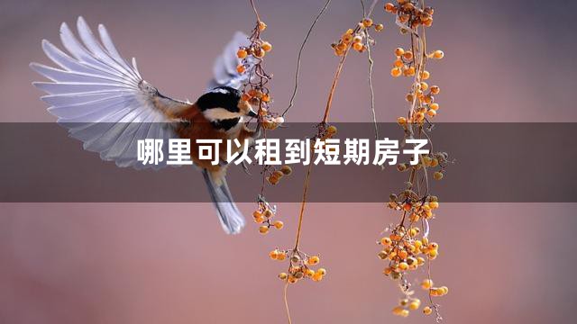 哪里可以租到短期房子