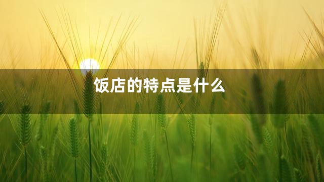 饭店的特点是什么