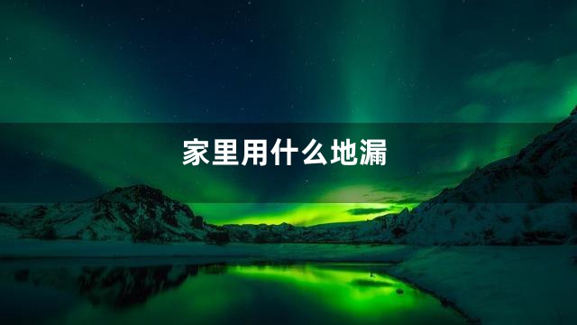 家里用什么地漏