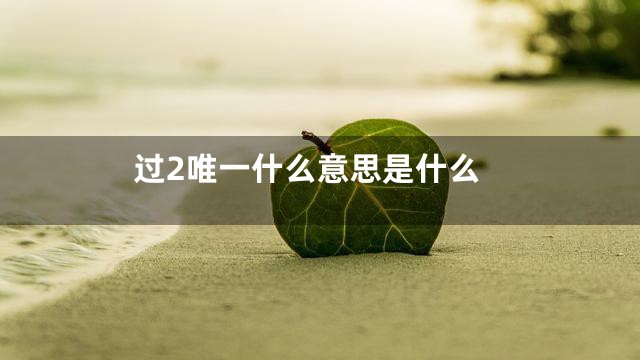 过2唯一什么意思是什么