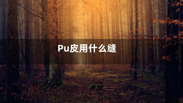 Pu皮用什么缝
