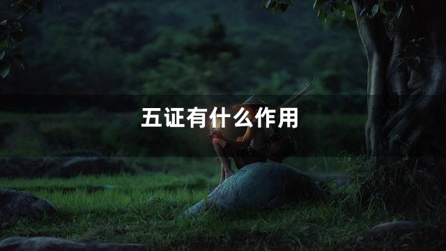 五证有什么作用