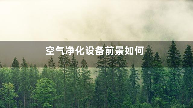 空气净化设备前景如何