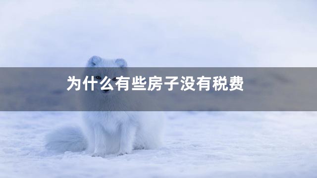为什么有些房子没有税费