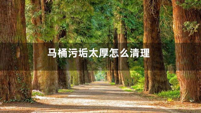 马桶污垢太厚怎么清理