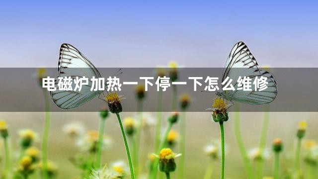 电磁炉加热一下停一下怎么维修