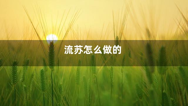 流苏怎么做的