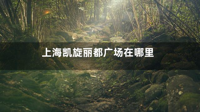 上海凯旋丽都广场在哪里
