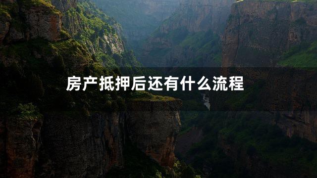 房产抵押后还有什么流程