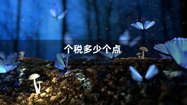 个税多少个点