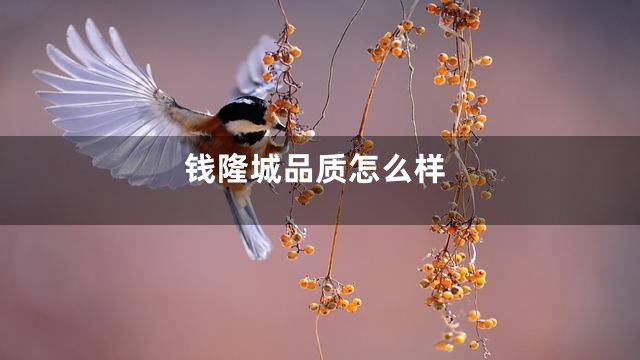 钱隆城品质怎么样