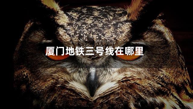 厦门地铁三号线在哪里