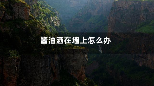 酱油洒在墙上怎么办