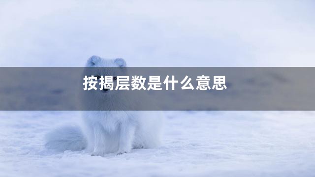 按揭层数是什么意思