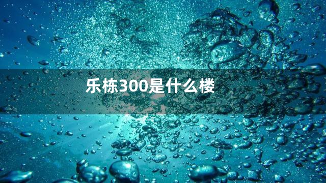 乐栋300是什么楼